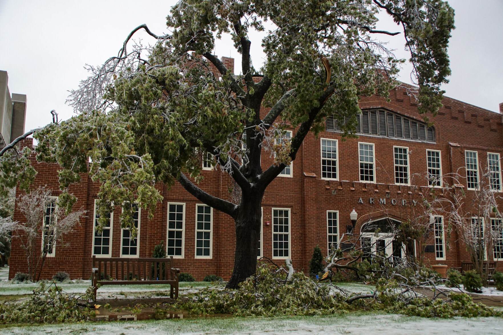 Broken tree